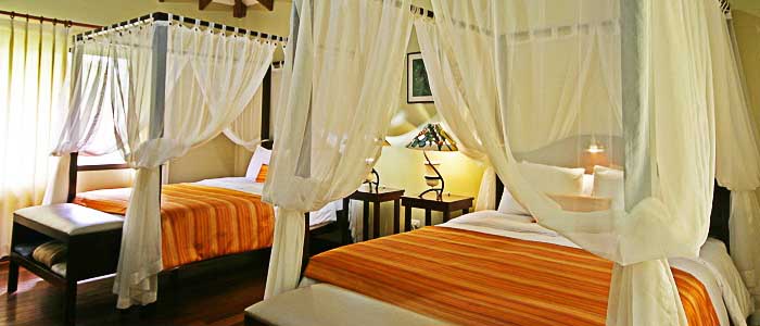 Chambre Manatus Tortuguero Chambre spacieuse lit double suite moustiquaire