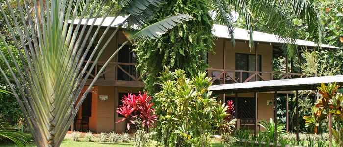 Hotel Manatus Tortuguero Bungalow jardin bois