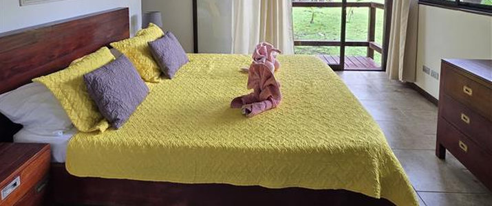 Bâtiment Kenaki Lodge Caraïbes Sud Cahuita Nuit Bois Nature Jardin