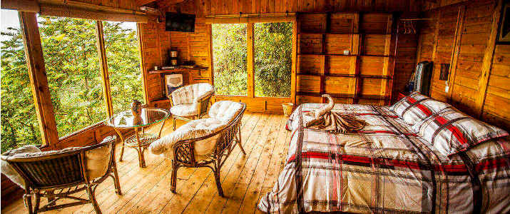 Paraiso Del Quetzal Chalet Paraiso Del Quetzal Hotel Costa Rica
