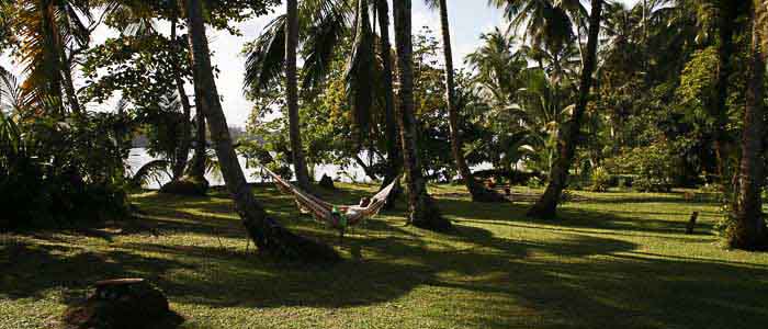 Hotel Miss Junie's Iguana Verde jardin nature hamac