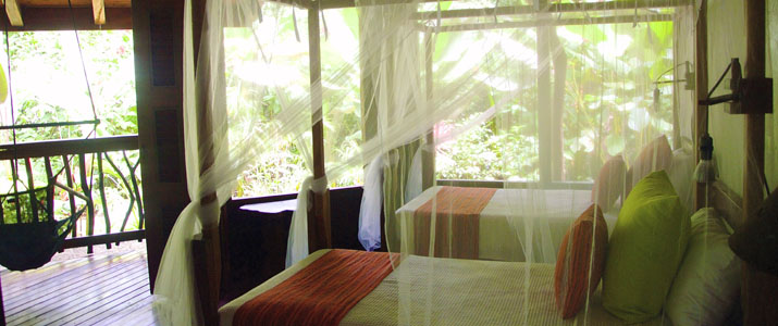 Playa Nicuesa Rainforest Lodge Hotel Pacifique Sud Costa Rica Chambre