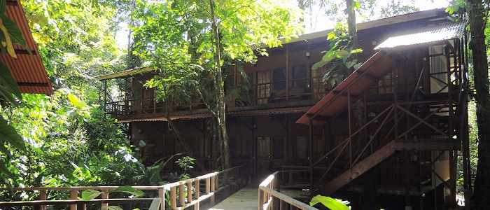 Hotel Rana Roja lodge bois nature luxuriante