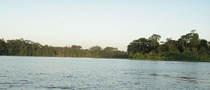 Hotel Rana Roja - Vue Hotel Rana Roja Vue Mangrove paysage nature