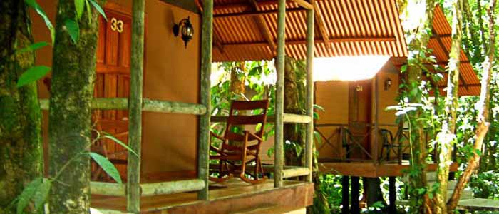 Hotel Rana Roja - Extérieur Hotel Rana Roja Extérieur lodges pilotis nature forêt