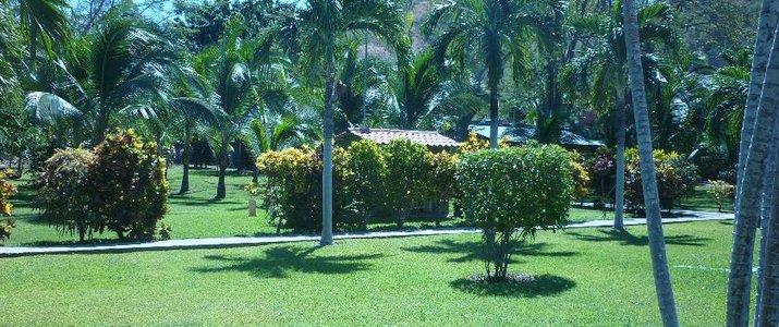 Guanacaste LodgeGuanacaste Playa Flamingo Jardin tropical et piscine