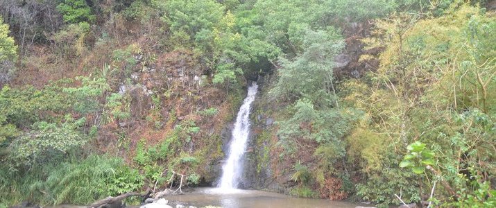 Restaurante y Cabinas La Catarata - Chute d'eau