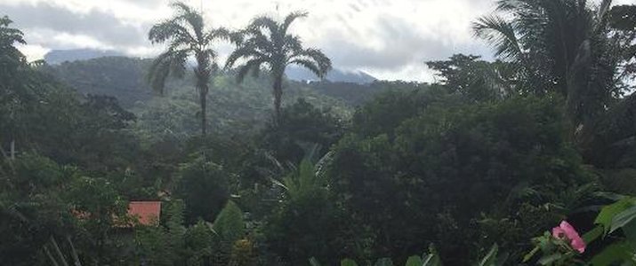 Hotel Cacao - Jardin tropical