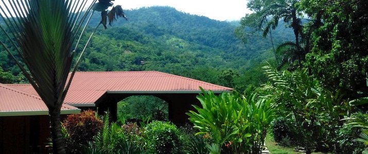 montagne nature jungle vue la cacatua hotel costa rica pacifique sud uvita