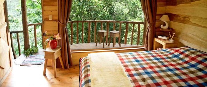 Cedrela Ecolodge San Isidro del General Copey Montagne Foret Hotel Chambre vue