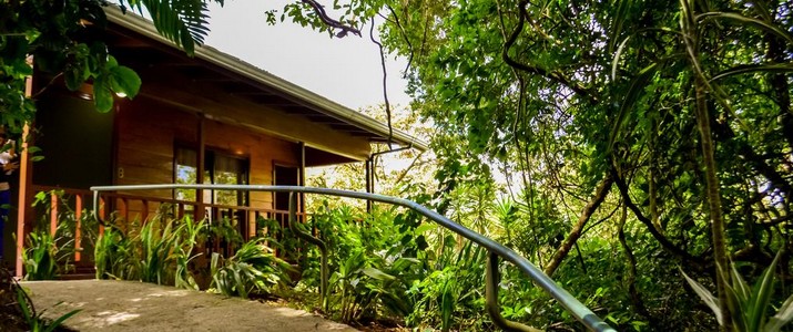 Jaguarundi Lodge chemin allée