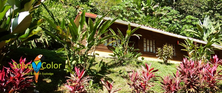 Selva Color - Forest & Beach Ecolodge Quebrado Ganado bungalow