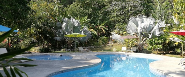 Selva Color - Forest & Beach Ecolodge Quebrado Ganado piscine