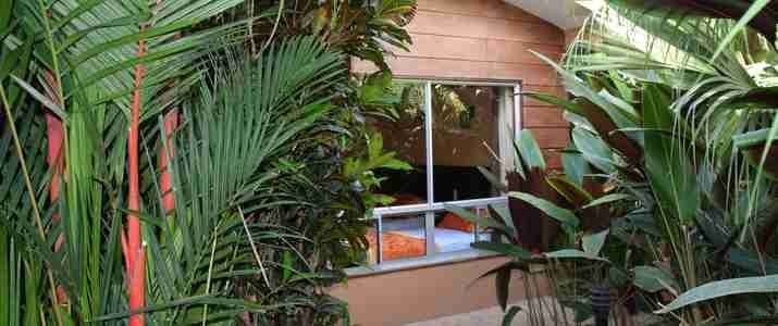 Mussaenda Arenal bungalow Mussaenda Arenal bungalow