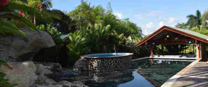 Mussaenda Arenal piscine Mussaenda Arenal piscine