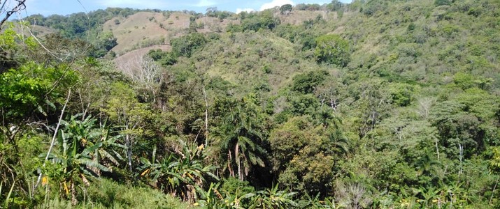 Rincon ecologico Terraba vue