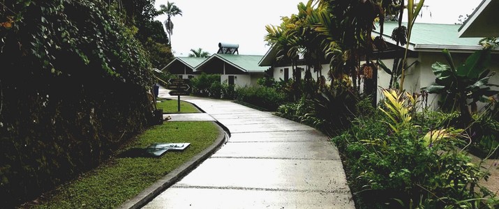 Station biologique las cruces jardin de wilson san vito cabinas