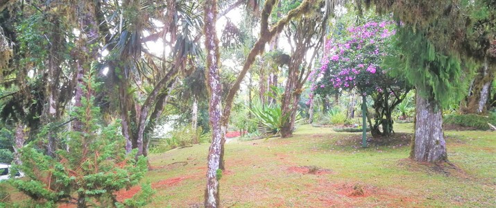 Station biologique las cruces jardin de wilson san vito jardin