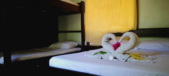 Chambre Drake Bay Paradise Lodge Chambre Drake Bay Paradise Lodge
