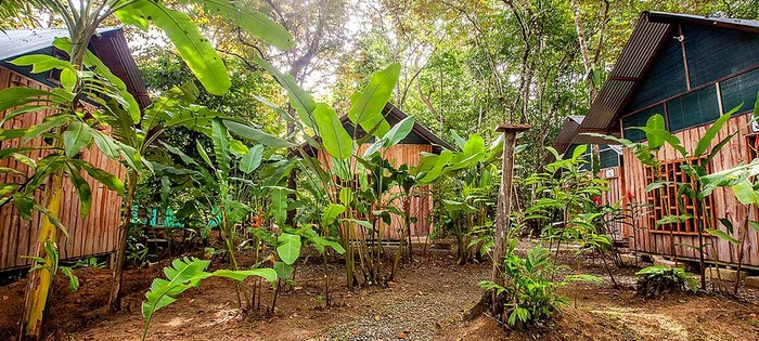 Bungalows Cacao Monkeys Puerto Jimenez Bungalows Cacao Monkeys Puerto Jimenez
