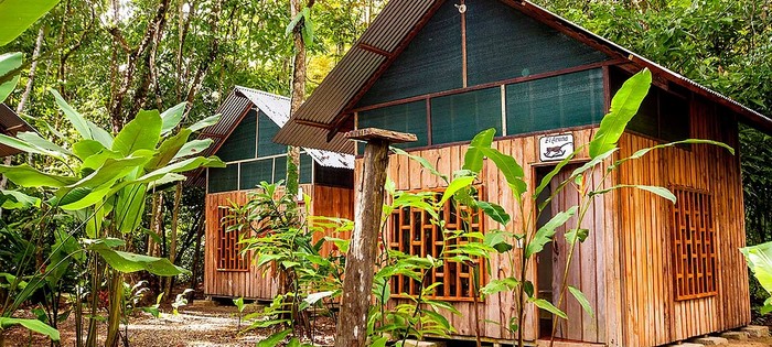 Bungalows Cacao Monkeys Puerto Jimenez Bungalows Cacao Monkeys Puerto Jimenez