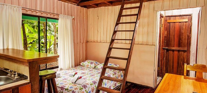Chambre Bungalows Cacao Monkeys Puerto Jimenez Chambre Bungalows Cacao Monkeys Puerto Jimenez