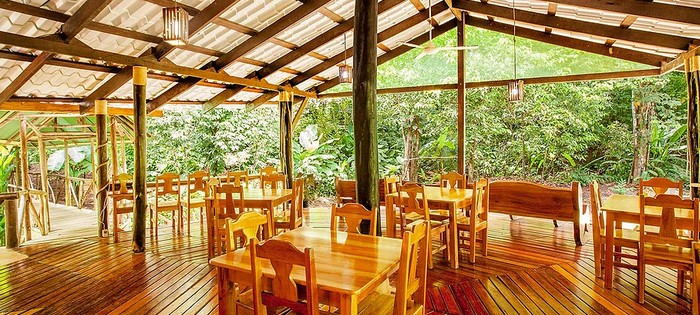 Espace commun Cacao Monkeys Puerto Jimenez Espace commun Cacao Monkeys Puerto Jimenez