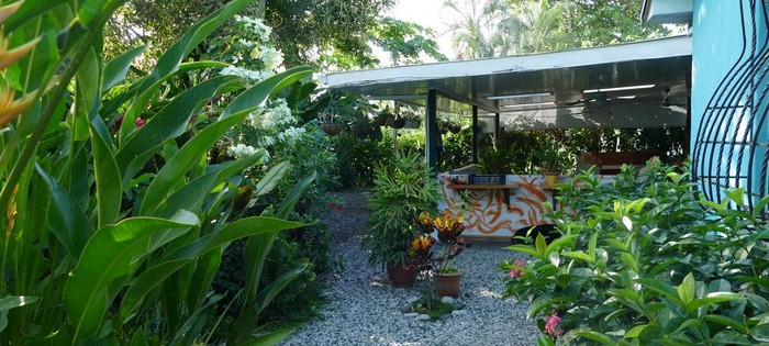 Jardin Casa Celeste Puerto Jimenez Jardin Casa Celeste Puerto Jimenez