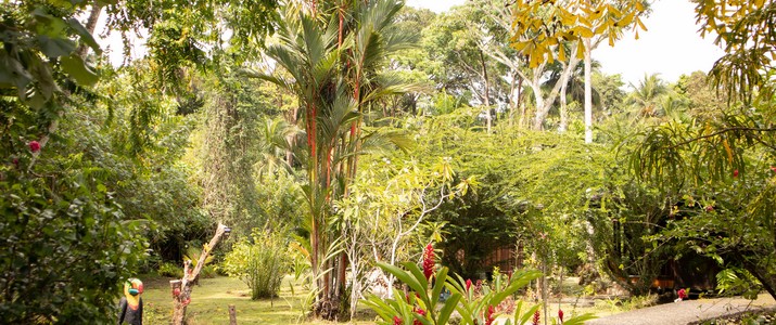 Bungalows Aché Cahuita Caraïbes Sud jardin