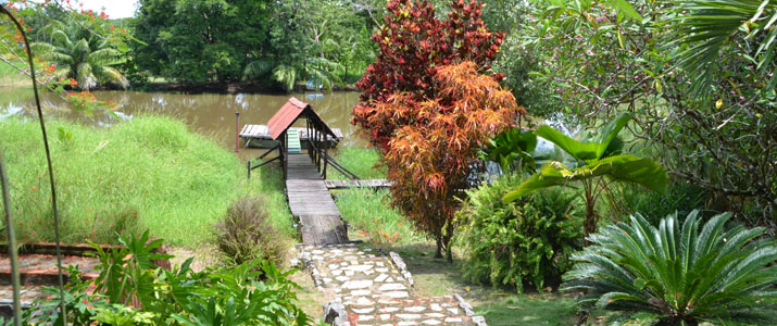 Veragua River House Hotel Corcovado Costa Rica Vue