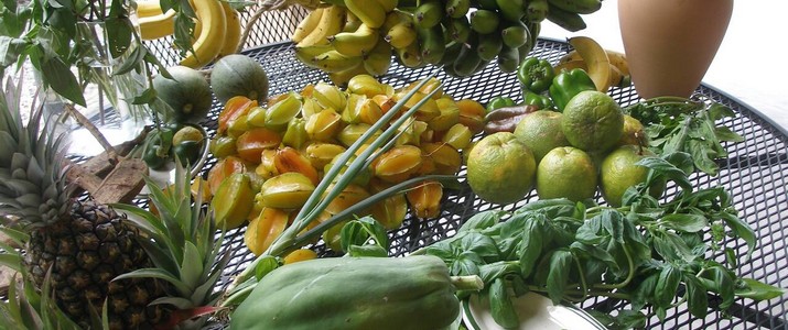 Casa Anak_fruits Casa Anak_fruits