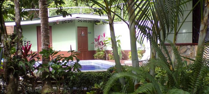 My Casa's B&B - Piscine My Casa's B&B Manuel Antonio Piscine