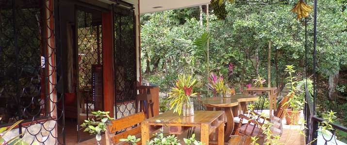 My Casa's B&B - Terrasse My Casa's B&B Manuel Antonio Terasse Verdure