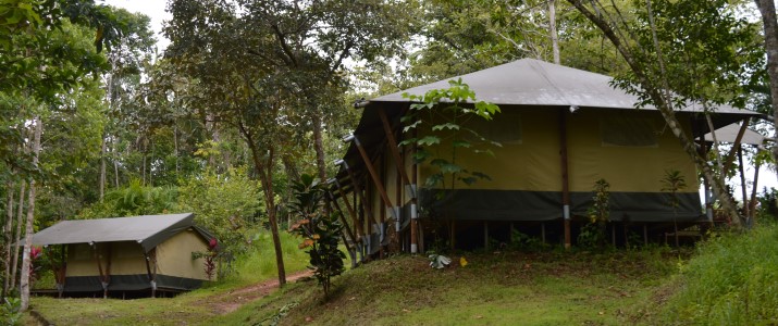 El Pulpo Safari - Tentes