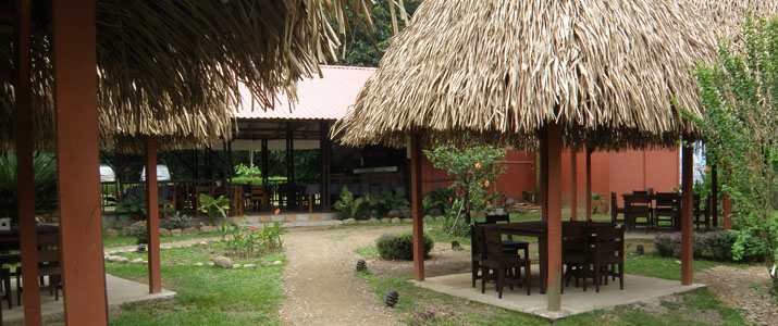 Hacienda Baru Pacifique Sud Dominical Costa Rica Hotel Espace Exterieur