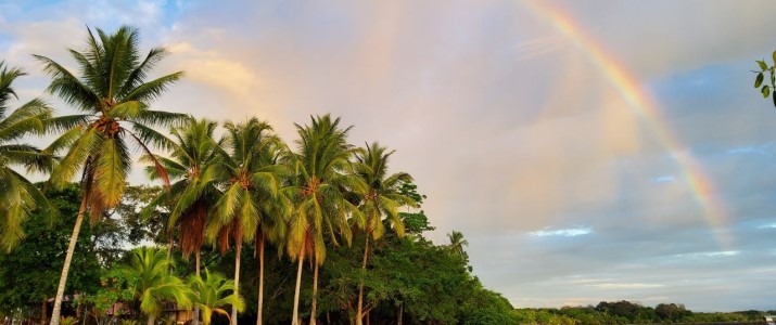 Corcovado Beach Lodge - Rainbow