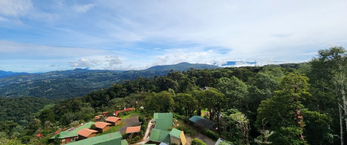 Mirador de Quetzales  Vue