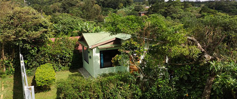 Villas Cecropia Paradise