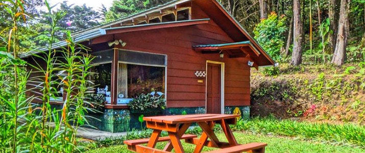 Los Pinos Cabinas y Jardines Monteverde Santa Elena Rainforest Forêt de Nuages Bungalow