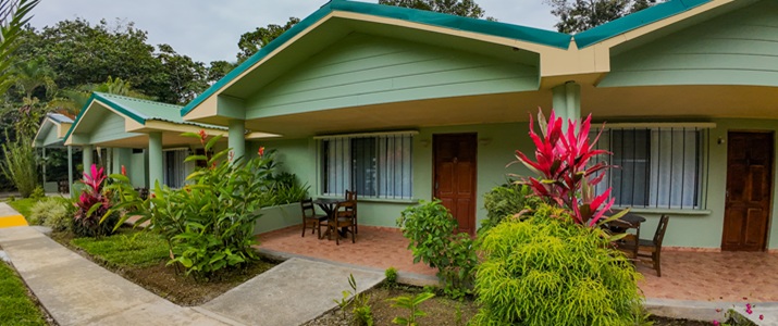 nature, chambre, extérieur, terrasse
