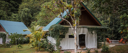 logements, extérieur, bungalow, nature