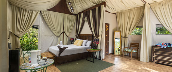 chambre, glamping, lit, dormir, se reposer
