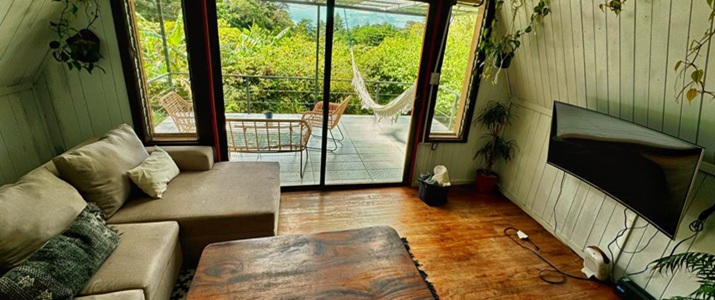 salon, télévision, canapé, terrasse, nature, partager