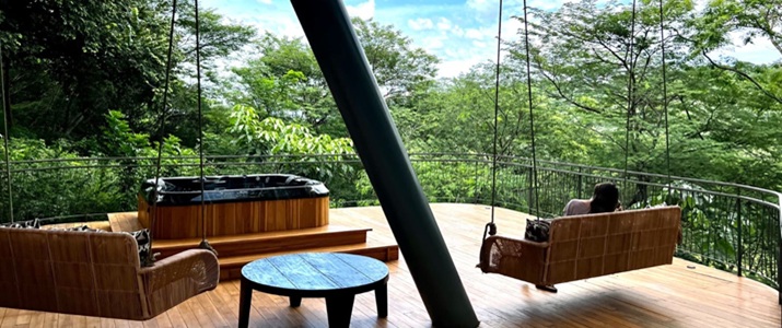 terrasse, bois, balançoire, jacuzzi, privé