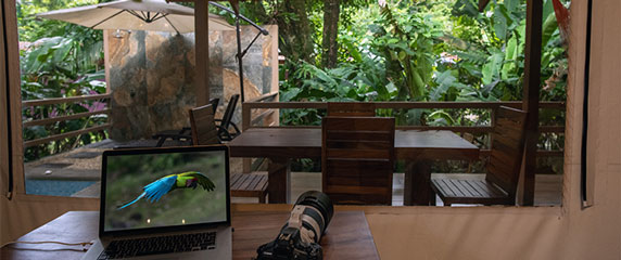 vue sur la terrasse de l'espace glamping