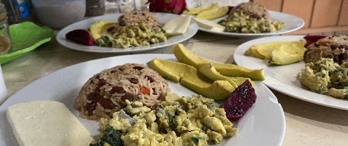 Petit déjeuner, typique, gallo pinto