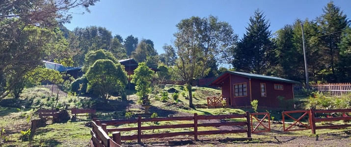 Curuba1