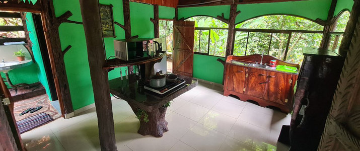 Vue sur la nature tropicale depuis les Cabañas Manu à Sarapiquí, région caraïbe nord