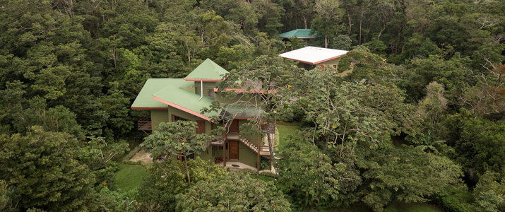 Vue sur la végétation tropicale depuis le Cala Lodge, région de Monteverde