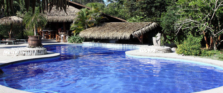 Suizo Loco Lodge Caraïbes Sud Cahuita piscine gigantesque jardin arbres